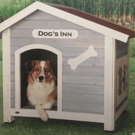cuanto cuesta una casa para perros