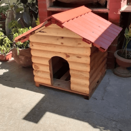 casas de perros madera