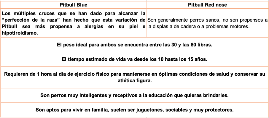 diferencias pitbull