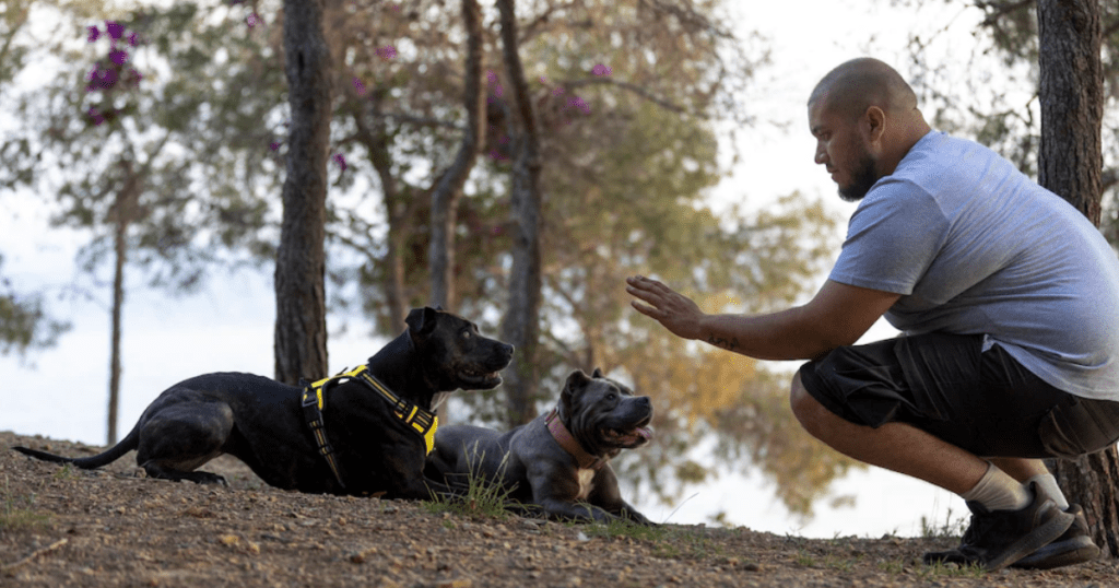 Nombres para perritas negras