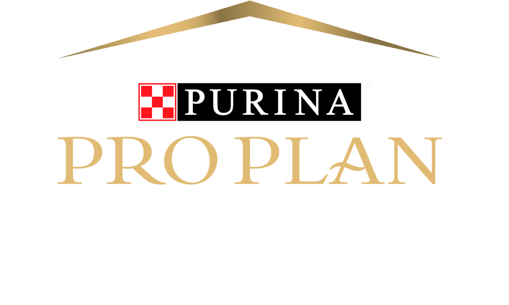 ProPlan mejor comida húmeda para perros en Perú