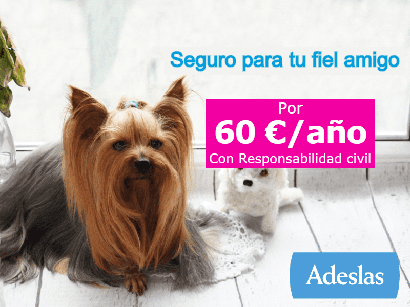 Adesla Seguro de Mascotas mejores seguros para perros en España