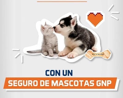 GNP mejores seguros para perros en México