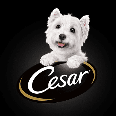 Cesar mejor comida húmeda para perros en España