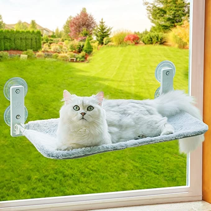 las 3 mejores camas para gatos en México