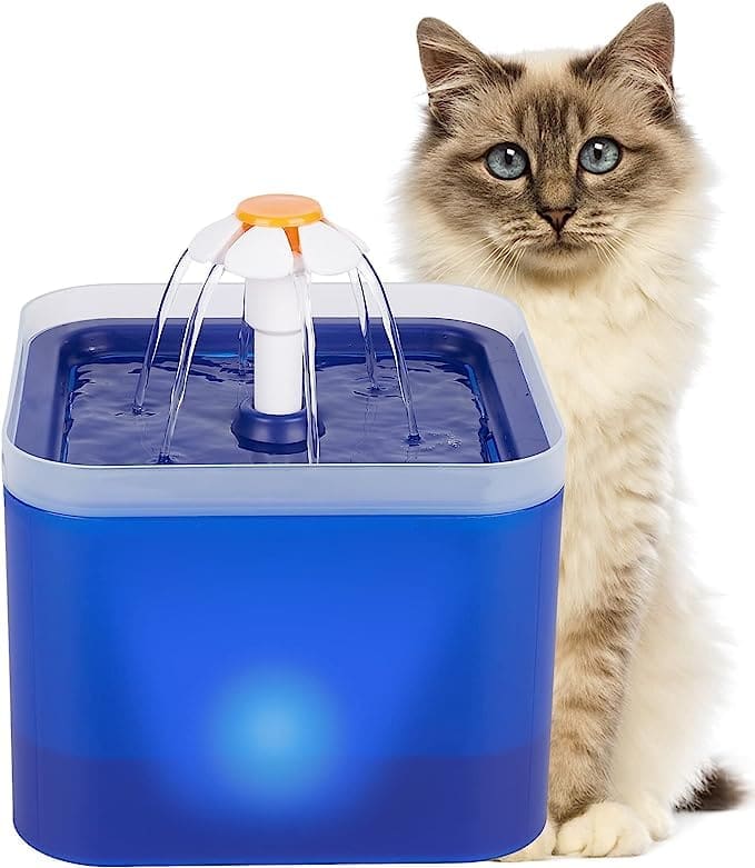 3 mejores fuentes de agua para gatos en México